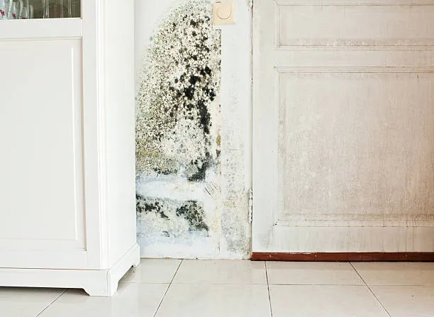 Visible mold damage on a wall beside an interior doorway